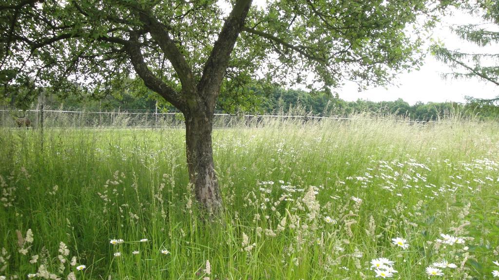 Ferienhof Olbasee Kleinsaubernitz Exteriér fotografie