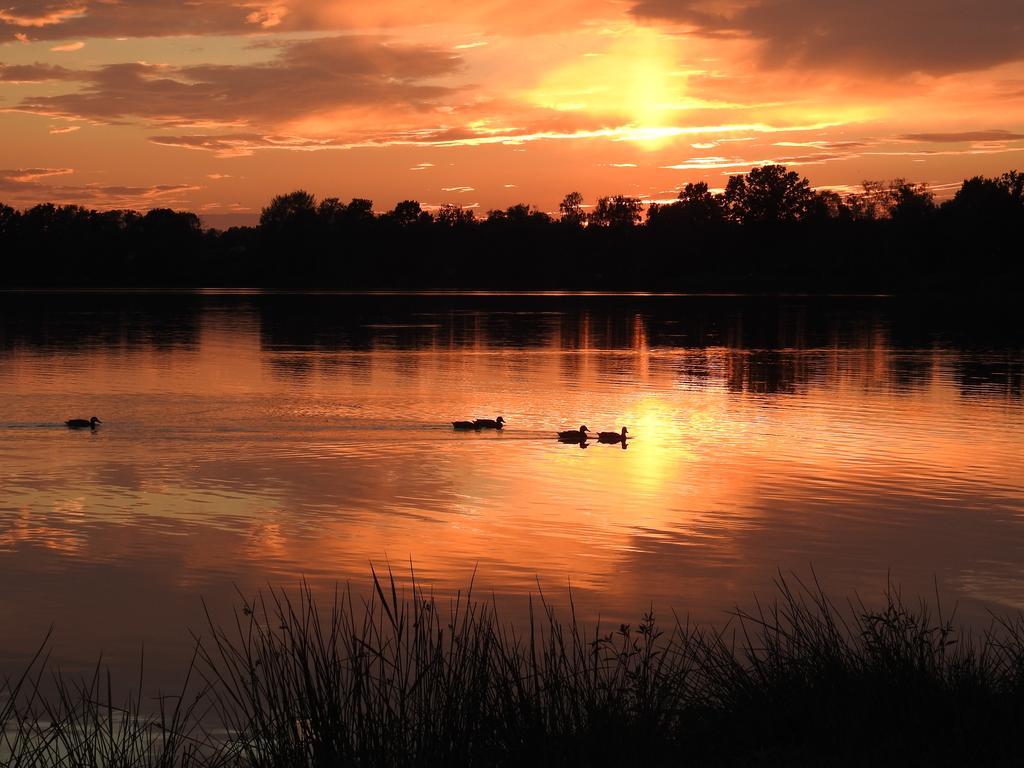 Ferienhof Olbasee Kleinsaubernitz Exteriér fotografie